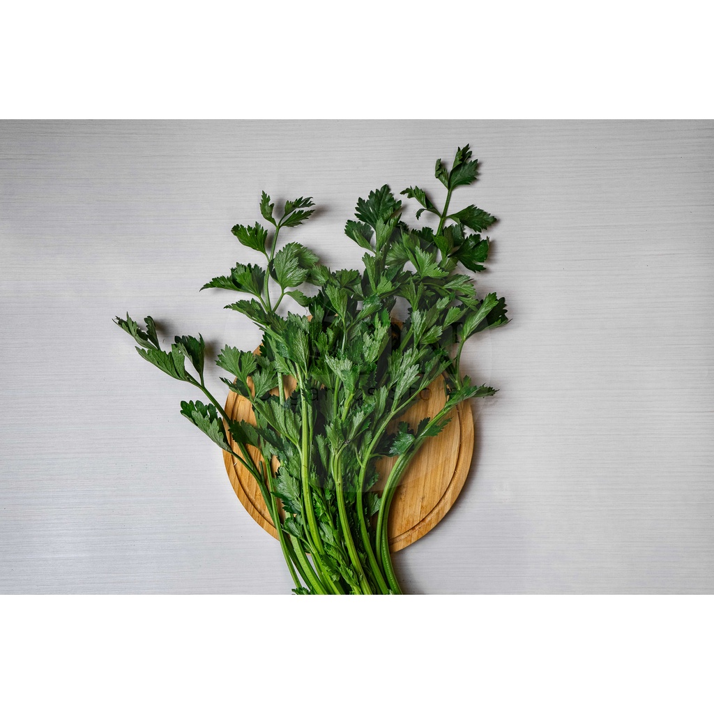 

Daun Seledri Organik - Lojin Organic Store