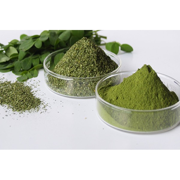 

Daun Kelor Moringa oleifera leave serbuk kapsul simplisia kering