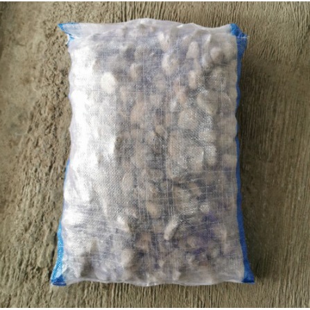 BATU APUNG PUMICE PUMIS MEDIA FILTER KOLAM KARUNGAN 6-7 KG KHUSUS GRABINSTAN