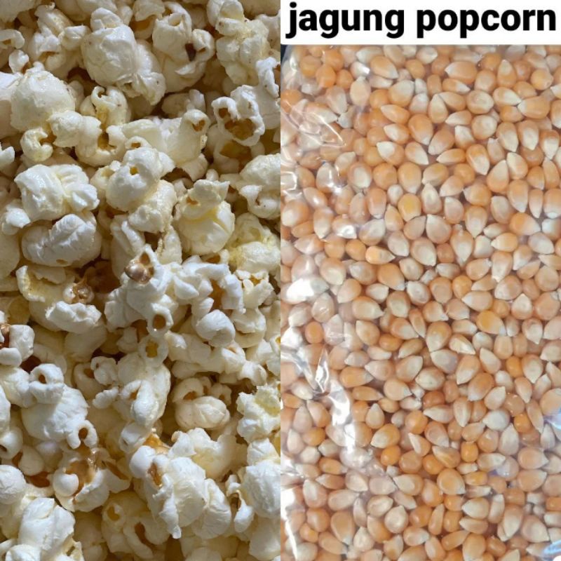 Jagung Popcorn / Jagung Pop Corn / Jagung Kering
