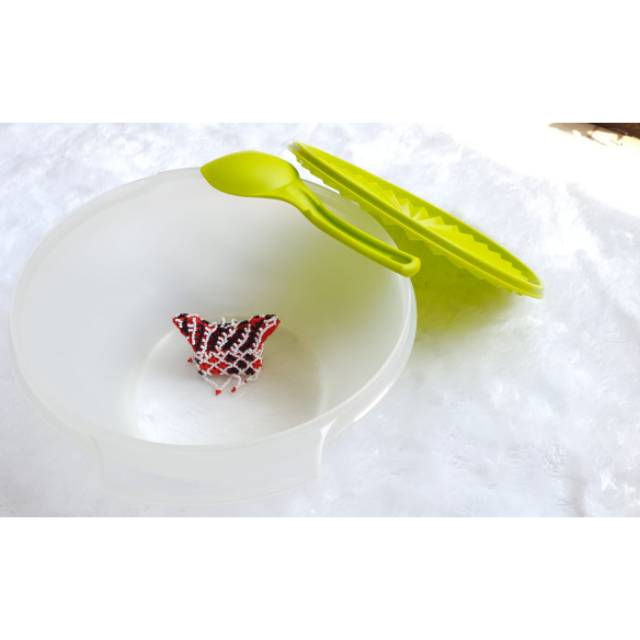 Tupperware Large Rice Bowl with Spoon