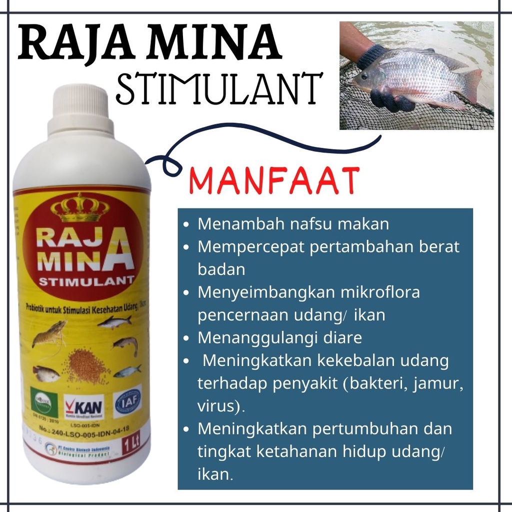 Raja Mina Stimulant Probiotik Ikan 1 Liter, Pakan Penggemuk Ikan Koi TERBAIK
