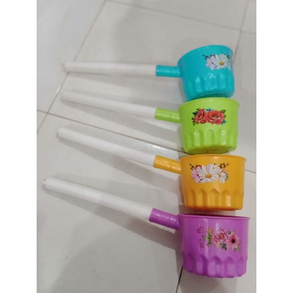 Gayung Panjang/Belimbing Drat Calista