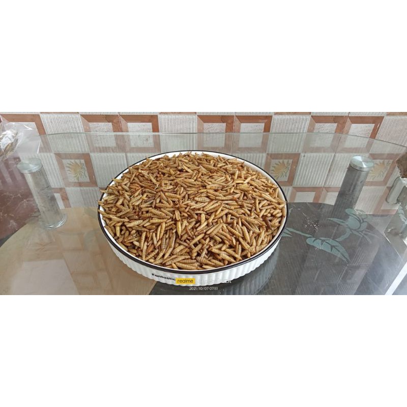 MAGGOT KERING, DRY MAGGOT, DRIED MAGGOT, LARVA BSF KERING (10 KG)