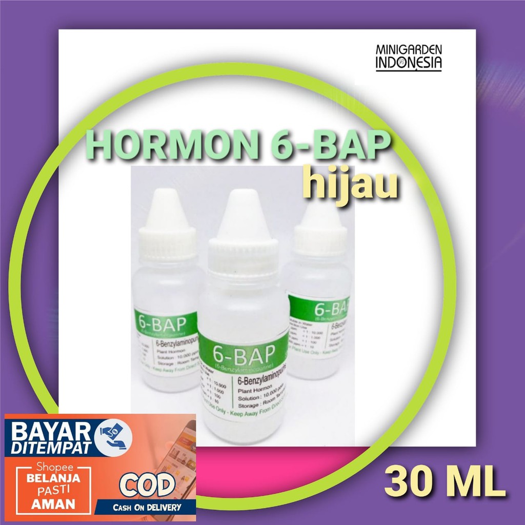 HORMON 6 BAP HIJAU 30ML Benzylaminopurine penumbuh tunas keiki tanaman anggrek perangsang bunga zpt