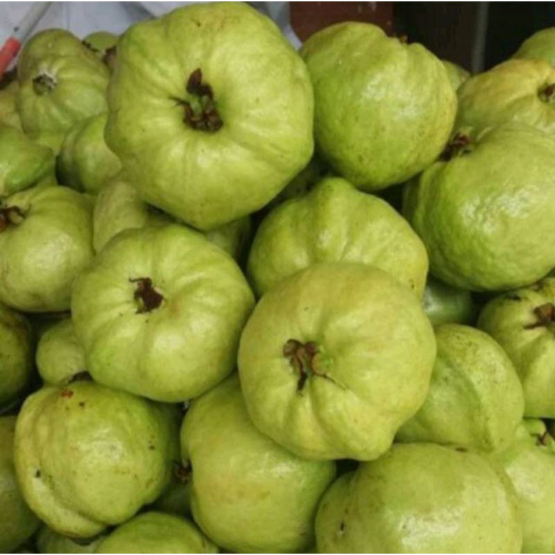 

jambu kristal