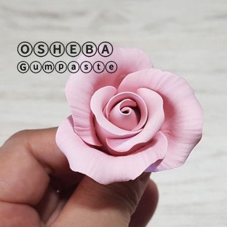 

[Osheba] gumpaste bunga Mawar PR medium 4