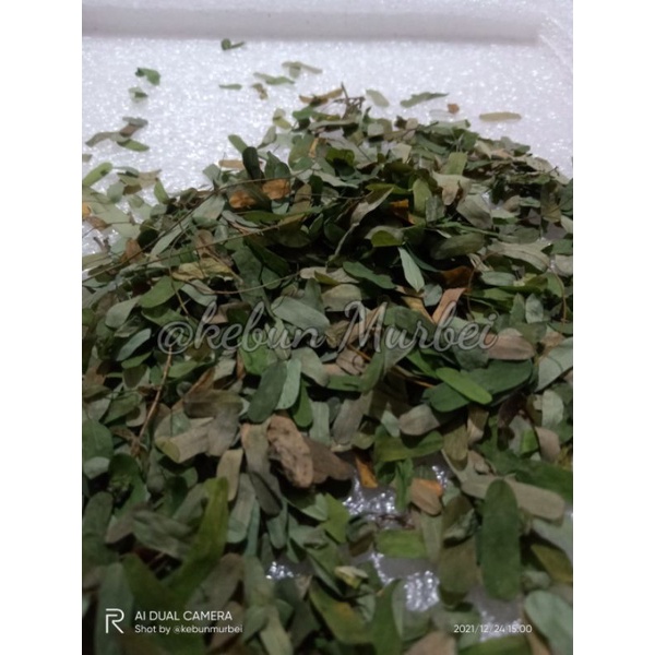 

Daun Saga Kering Ekonomis