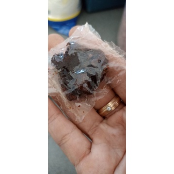 

asam jawa