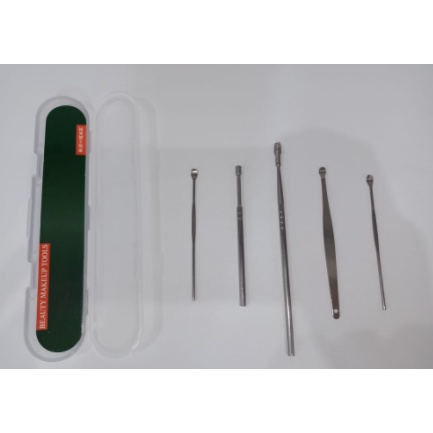 Alat pembersih kotoran telinga set korek kuping stainless anti karat 5 in 1