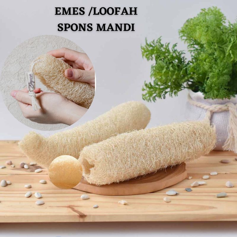 Spon Mandi EMES Loofah Spons Alami Serat Gambas Emes Labu Oyong Kering
