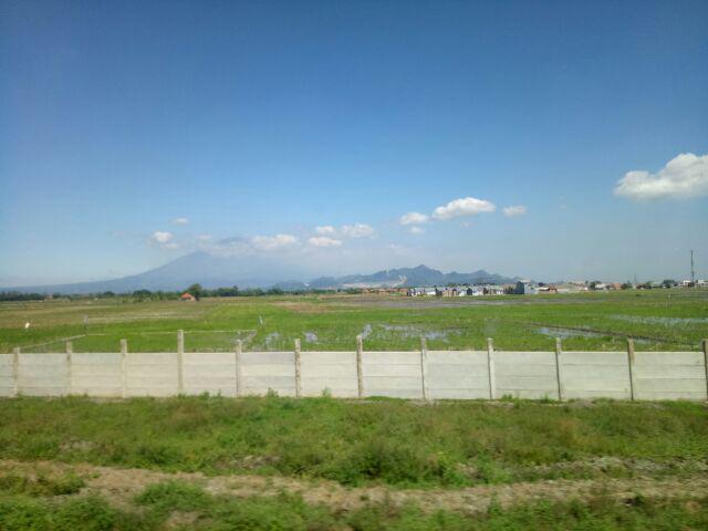 Ecer Gamis Tali Jumput Falany Daster Lengan Panjang Wanita Batik Jumbo