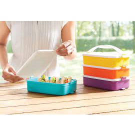 Click To Go Rectangular | Rantang