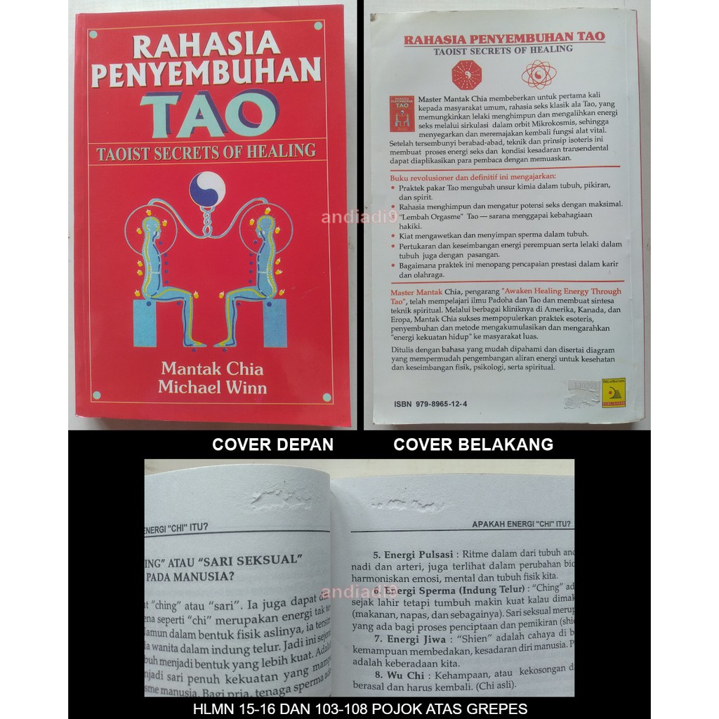 RAHASIA PENYEMBUHAN TAO MANTAK CHIA MICHAEL WINN GREPES