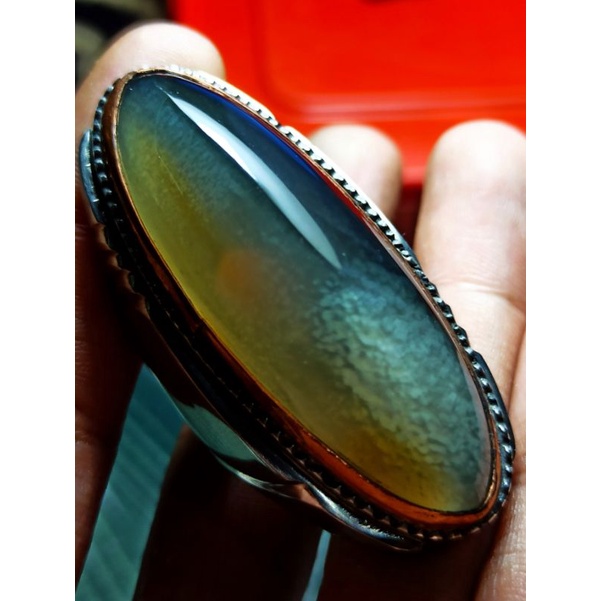 PANDAN SEMU LUMUT RUDAL