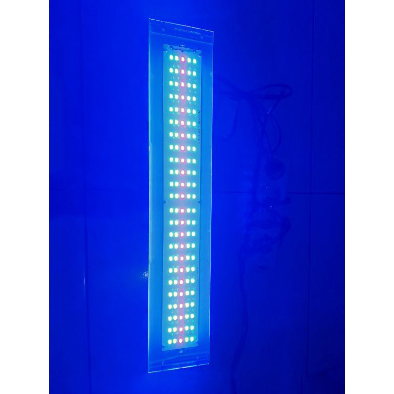 lampu led aquarium aquascape tanning arwana 20.000K