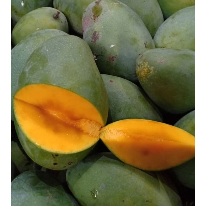 

MANGGA HARUM MANIS 1KG FRESH/BUAH MANGGA HARUM MANIS FRESH