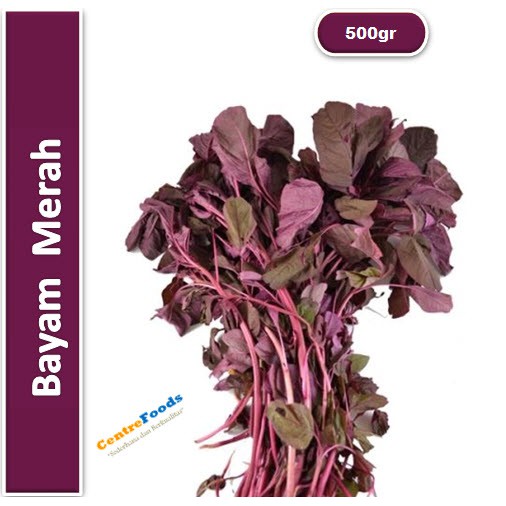 

Bayam Merah Fresh | Jabar [ Berat 0,5Kg / 500gr ]