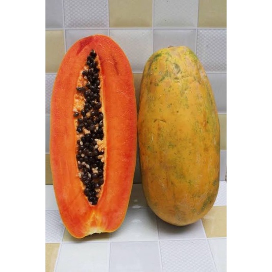 

BSM | TERMURAH Pepaya Manis / Papaya Segar per buah | Sayur online