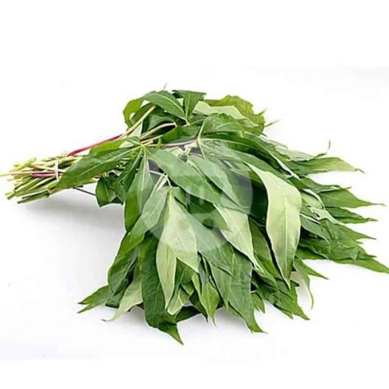 

Daun Singkong 1 Ikat