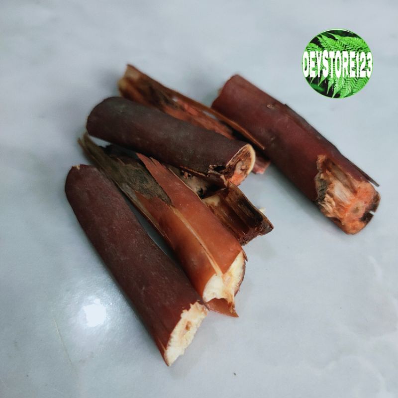

jual akar kelapa ijo segar per 500 grm