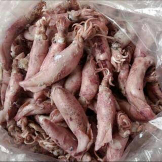 

Cumi Asin Kering