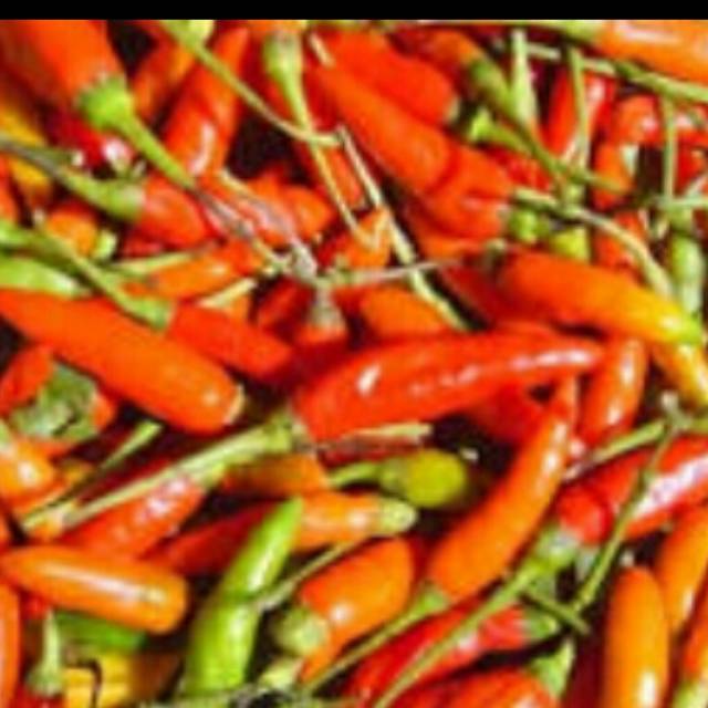 

CENGEK DOMBA /CABE RAWIT MERAH 250 GRAM