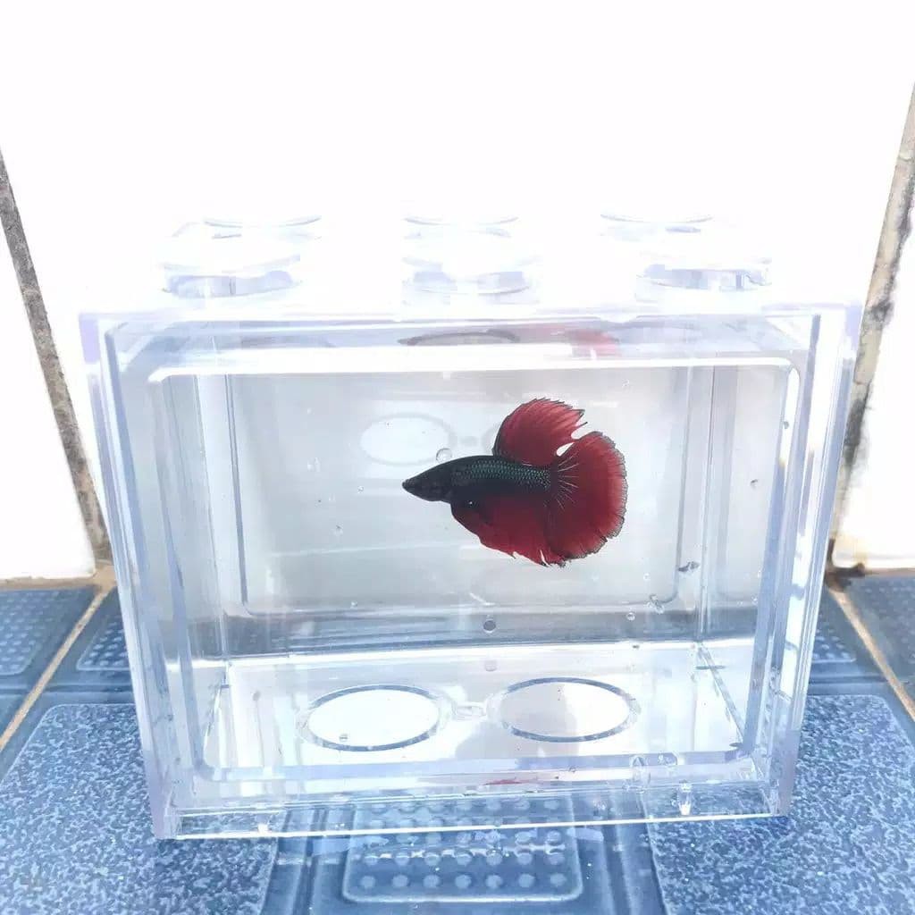 Aquarium Mini Ikan Cupang LED Bentuk Lego