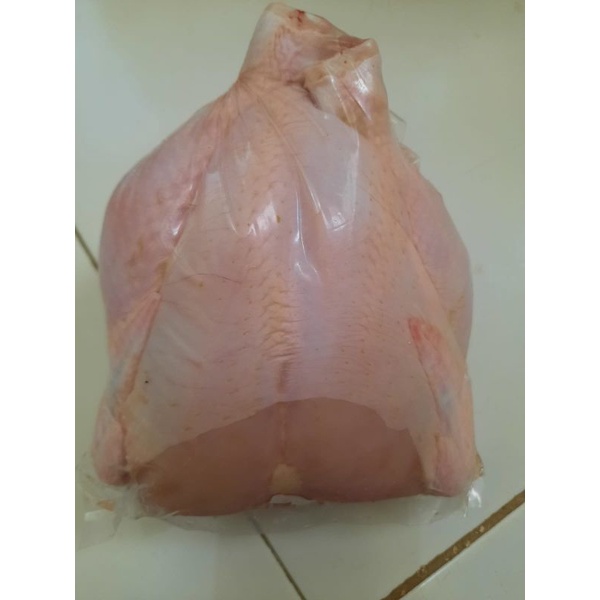 

ayam boiler
