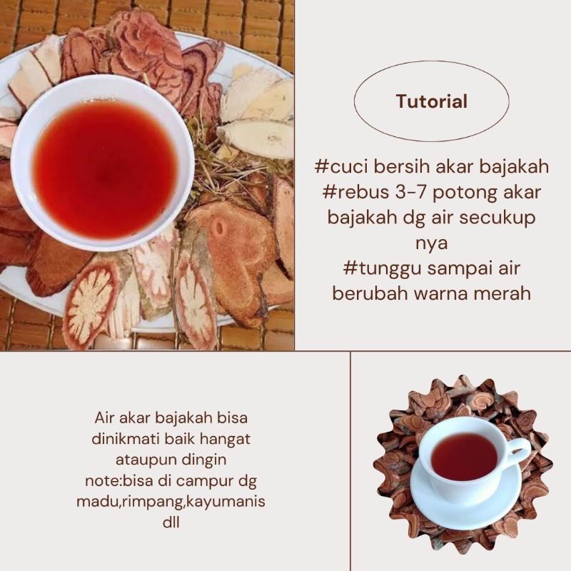 Akar Kayu Bajakan bajakah bajaka Asli Kalimantan jie xui teng herbal stroke jantung asam lambung-2
