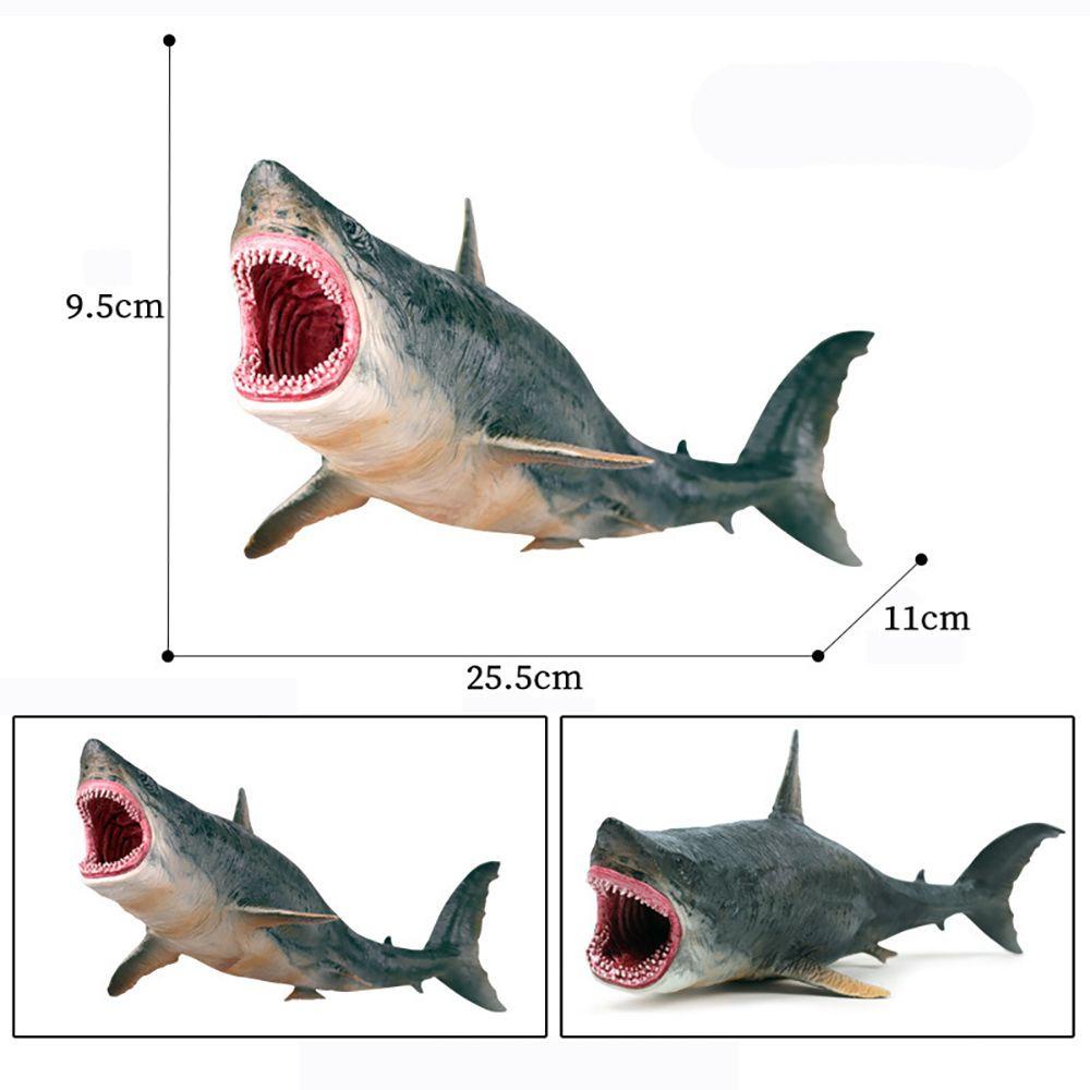 R-flower Megalodon Model Binatang Laut Untuk Edukasi Dini Anak