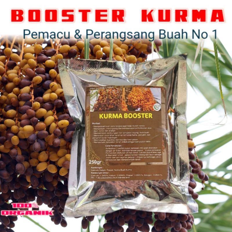 Pupuk Booster Organik Kurma Agar Cepat Berbuah Lebat Dan Tidak Rontok,Pemacu Dan Perangsang Pohon Ku