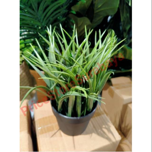 Artificial Grass/Mini Pot/Tanaman Pot/Rumput Sintetis/Tanaman Hias - Green