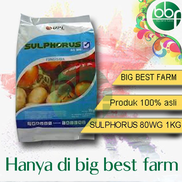 Fungisida Sulphorus 80WG 1kg