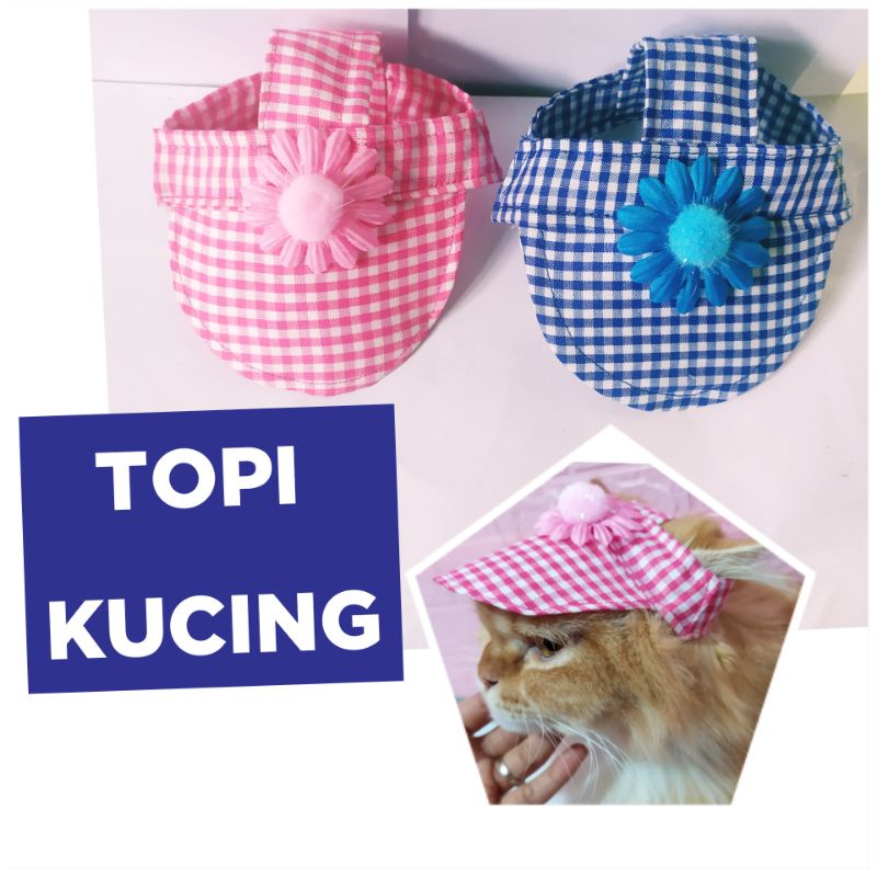 TOPI KUCING