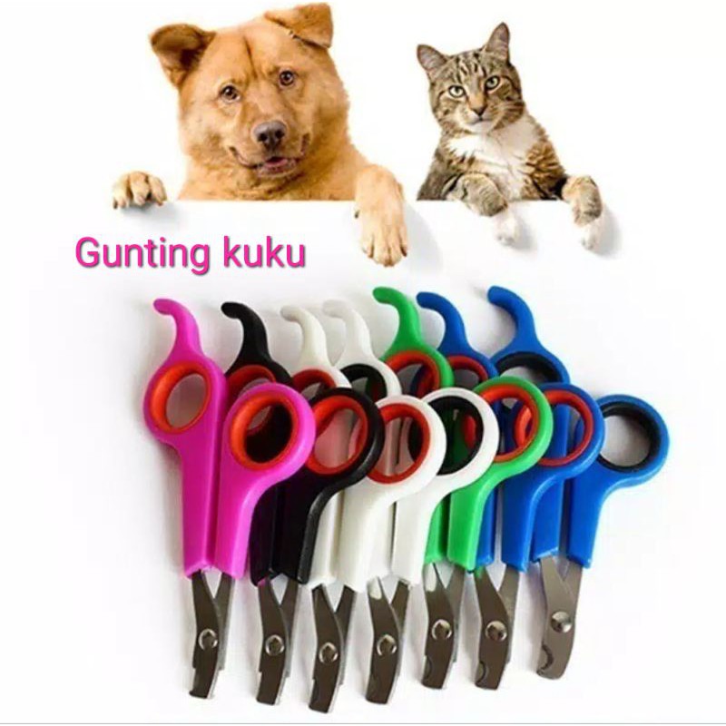 Gunting Kuku Kucing Gunting Kuku Anjing