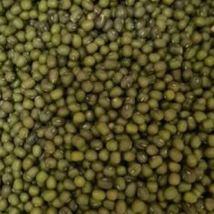 

Kacang Hijau Import 1kg