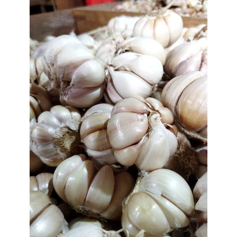 

Bawang putih