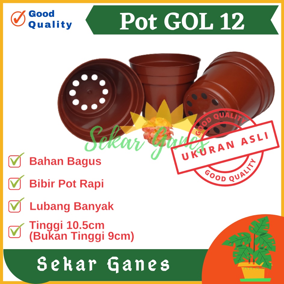 Sekarganes Pot 12 Cm Merah BataTerracota Terracotta Merah Coklat Polos - Pot 12 Hitam Kecil Mini Minimalis Plastik Kaktus Sukulen Mini Murah Pot Bibit Pembibitan