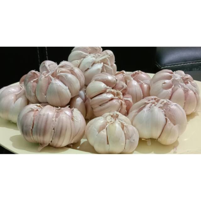 

Bawang Putih Bersih 10KG