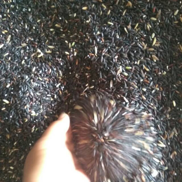 

Beras ketan 500 gram
