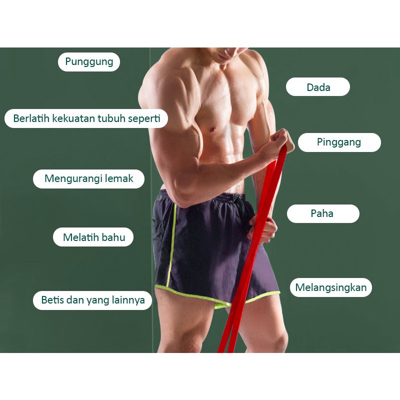 SDI Fitness Rumah Size L M Latex Pull Up Resistance Band Fitness RESISTANCE BAND/POWER BAND STRETCHING PULL UP Ala AMT