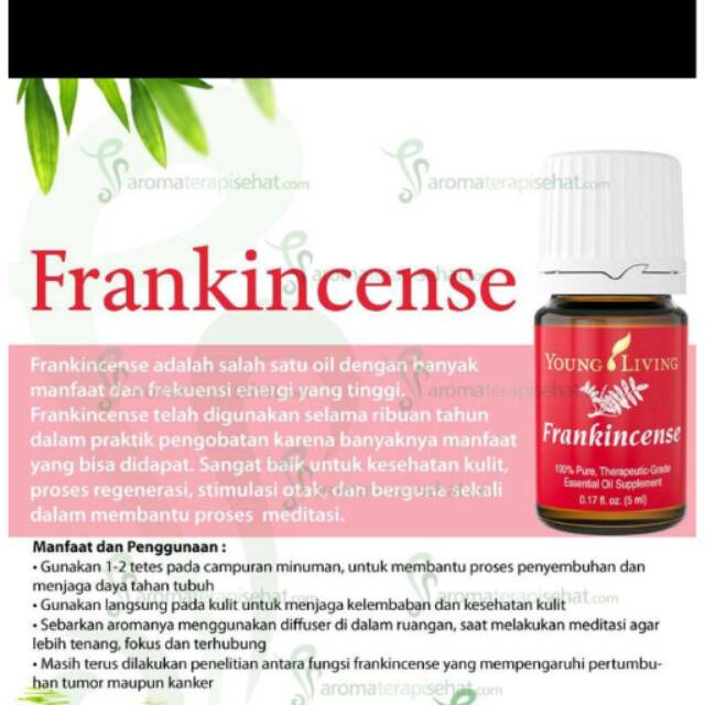 Frankincense Young Living Oil Essential 5ml