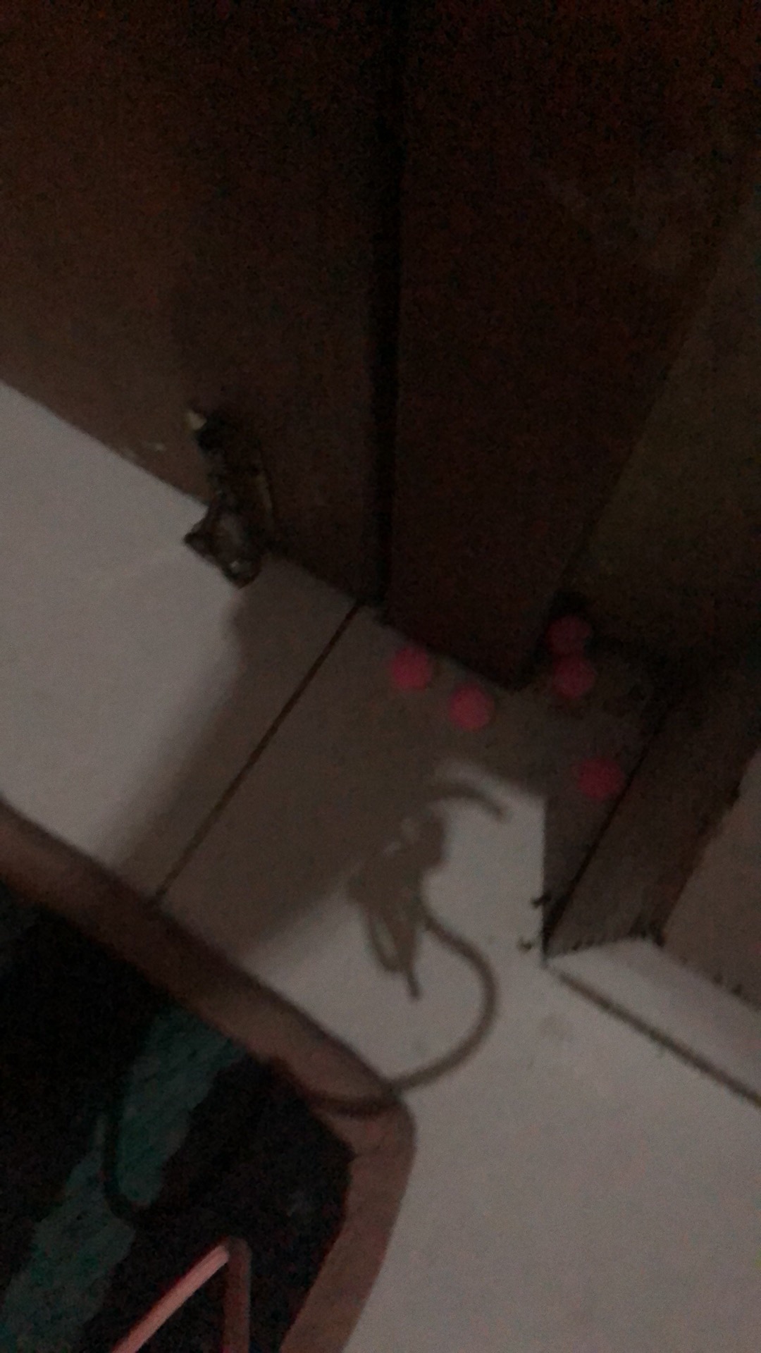 Unicon Barus Kamper Tikus Super Ampuh Paling Efektif Mengusir Tikus