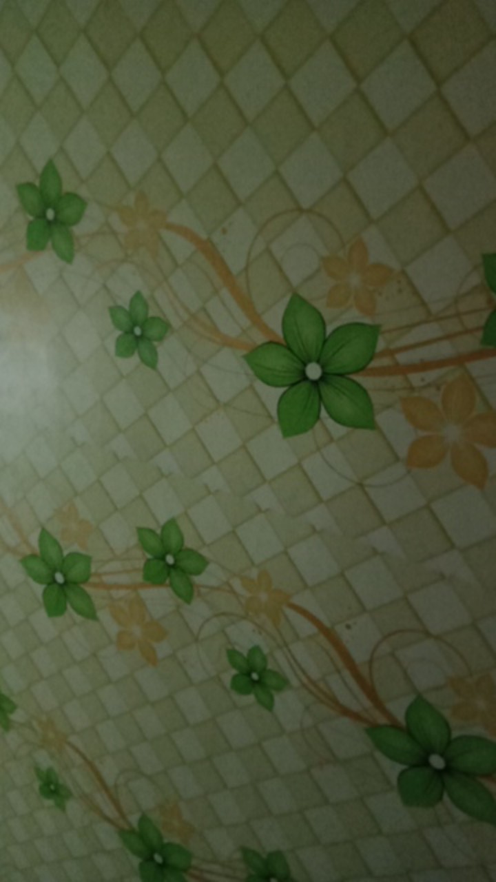 Cetakan Akar Kelapa Atau Ulat Sutera Jumbo