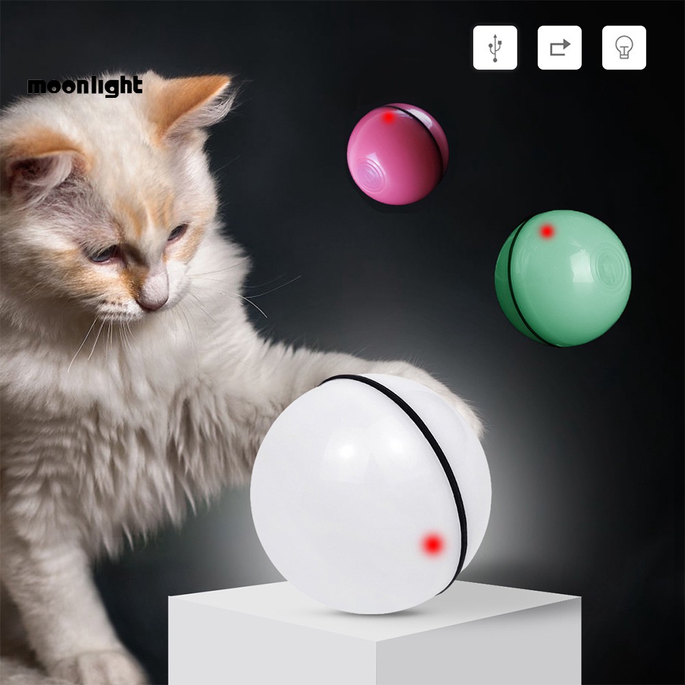 Cat Ball Chaser Toy Wow Blog