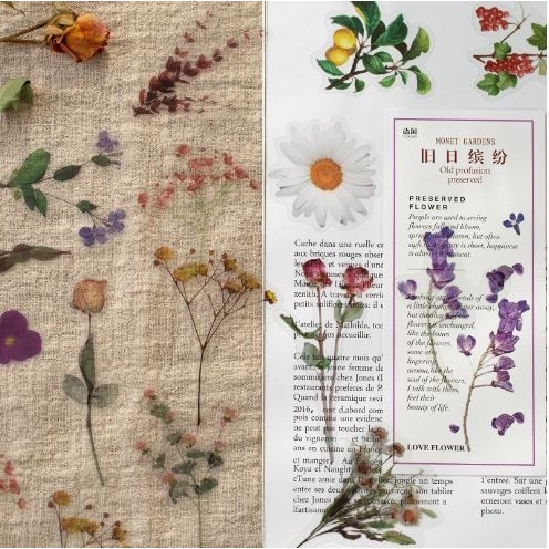 Flower Series PET Sticker Packs - 8 Design Monets Garden (40pcs)