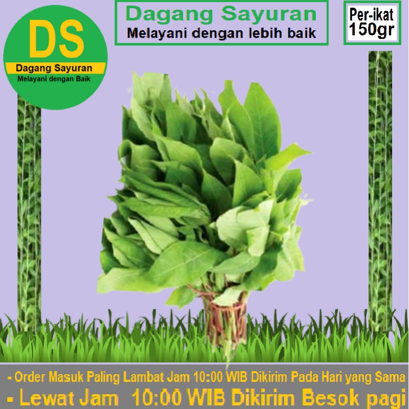 Jual Daun Singkong Sayur Segar Sayuran Segar Jual Daun Siingkong Dagang