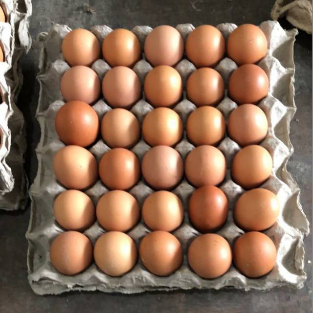 

telor telur ayam negeri perkg ( Khusus gosen )