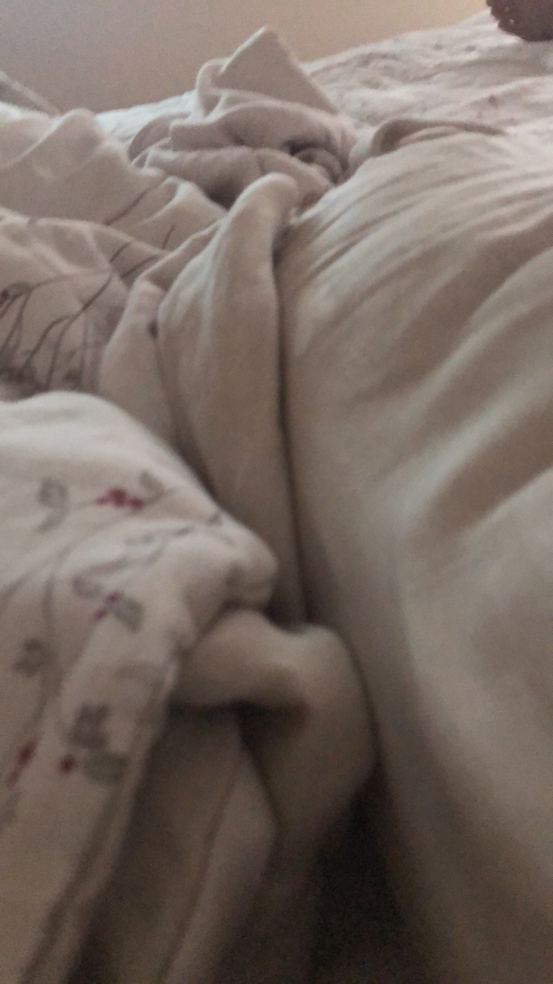 Plastik Klip Mata Per Pack (isi 100)